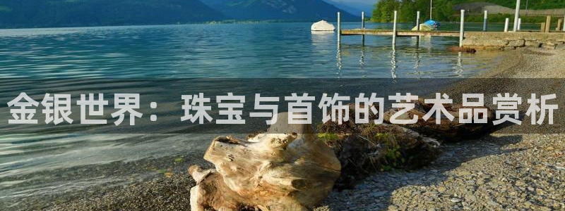 天宏娱乐李叔:金银世界:珠宝与首饰的艺术品赏析