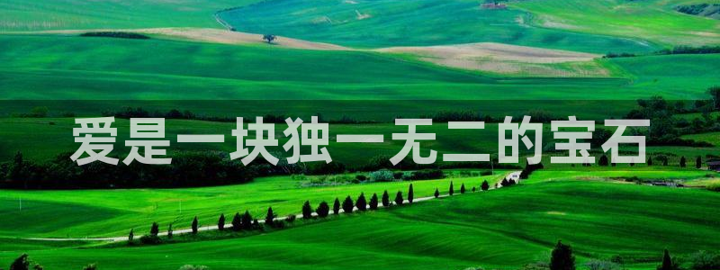 天宏娱乐有明星吗:爱是一块独一无二的宝石