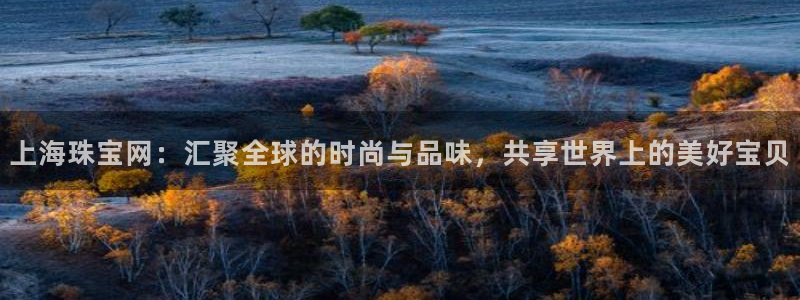 常平天宏娱乐会所电话:上海珠宝网:汇聚全球的时尚与品味,共享