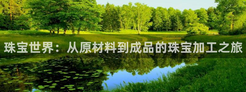 天宏 娱乐属于什么平台:珠宝世界:从原材料到成品的珠宝加工之