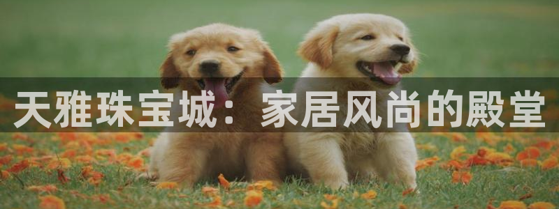 天宏娱乐李叔:天雅珠宝城:家居风尚的殿堂