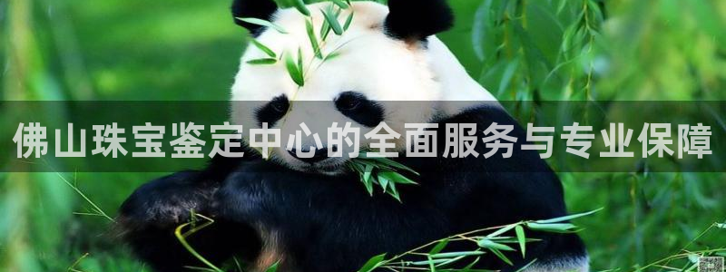 天宏娱乐丨金手指17:佛山珠宝鉴定中心的全面服务与专业保障