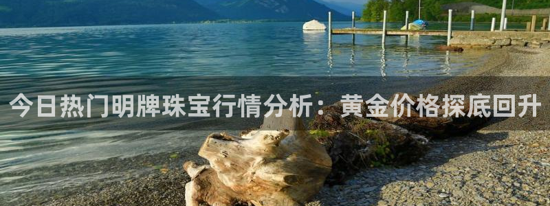 天宏娱乐君叔:今日热门明牌珠宝行情分析:黄金价格探底回升